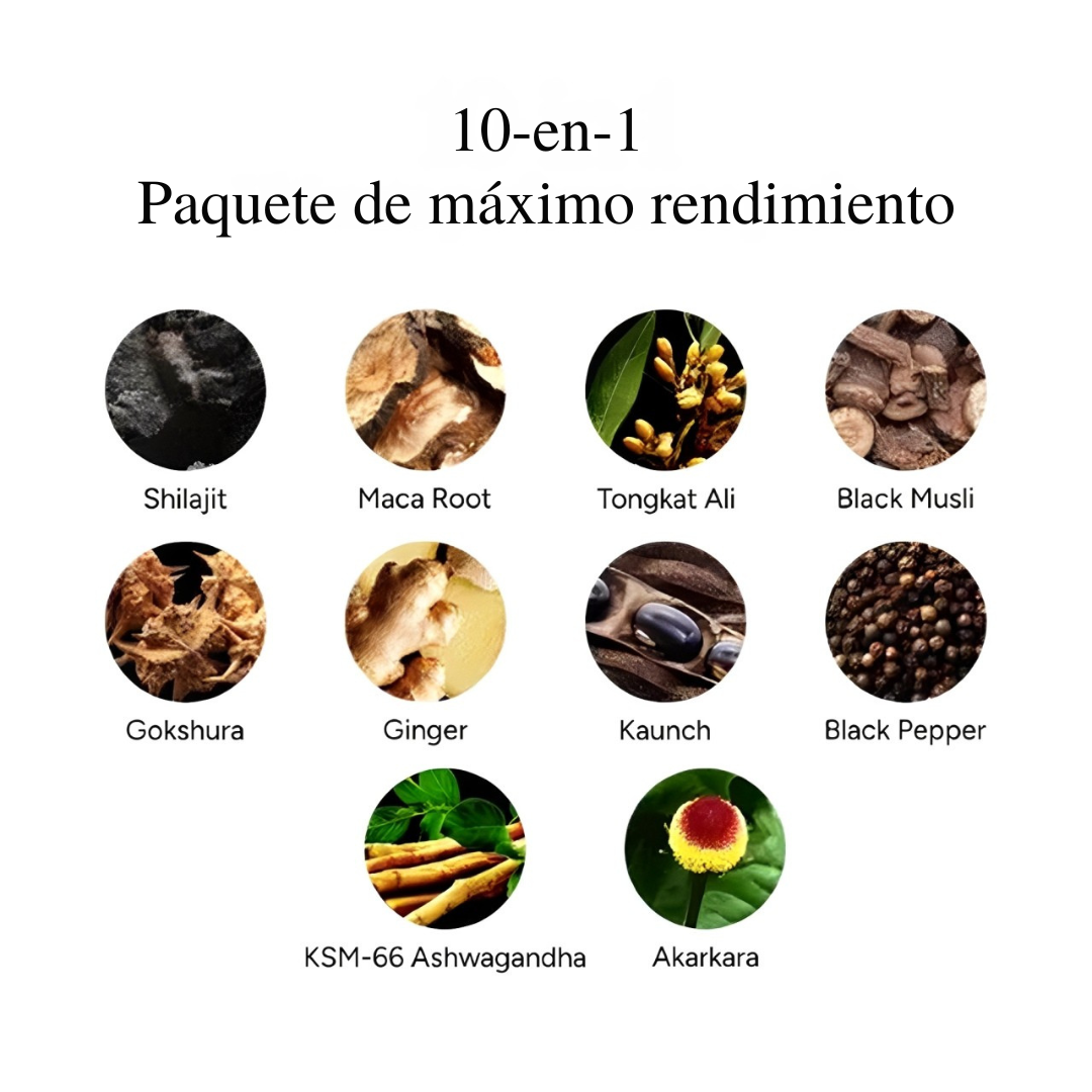 Gomitas ALPHA | Mayor Resistencia y Potencia Masculina